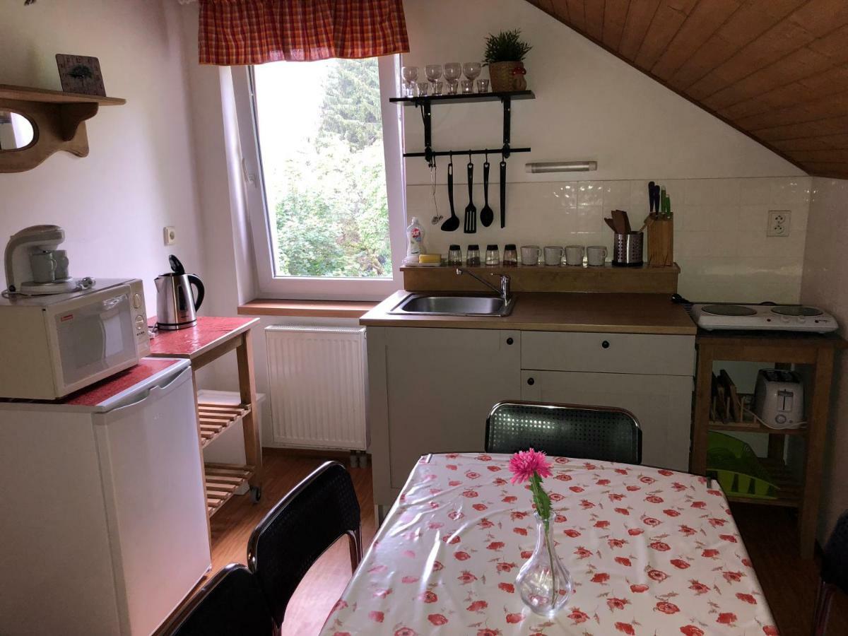 Apartmany U Kamenky Vrchlabí Buitenkant foto